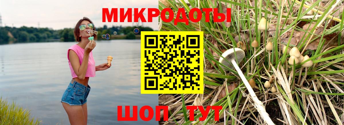 Галлюциногенные грибы Psilocybine cubensis Североморск